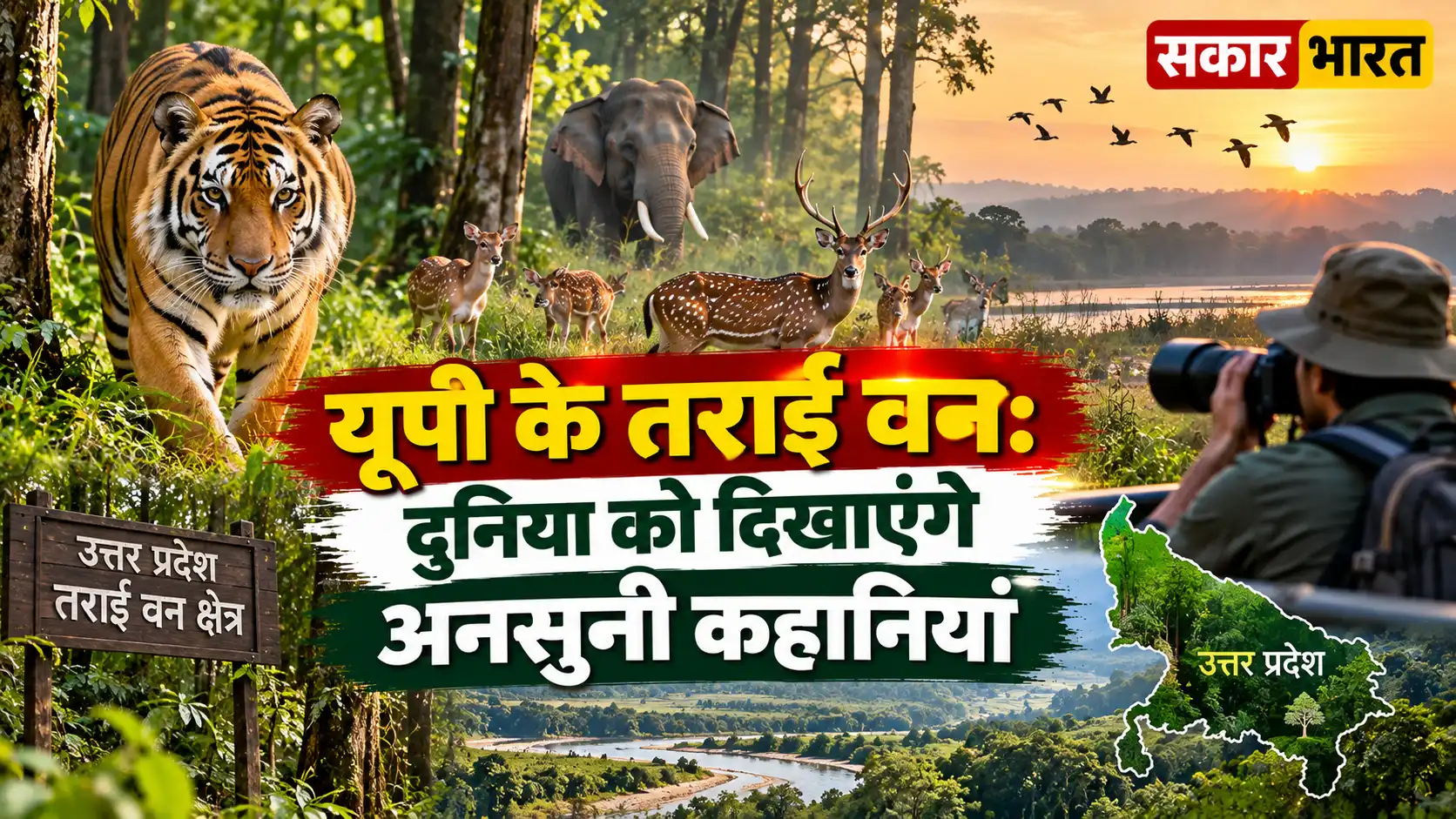यूपी के तराई वन: दुनिया को दिखाएंगे अनसुनी कहानियाँ