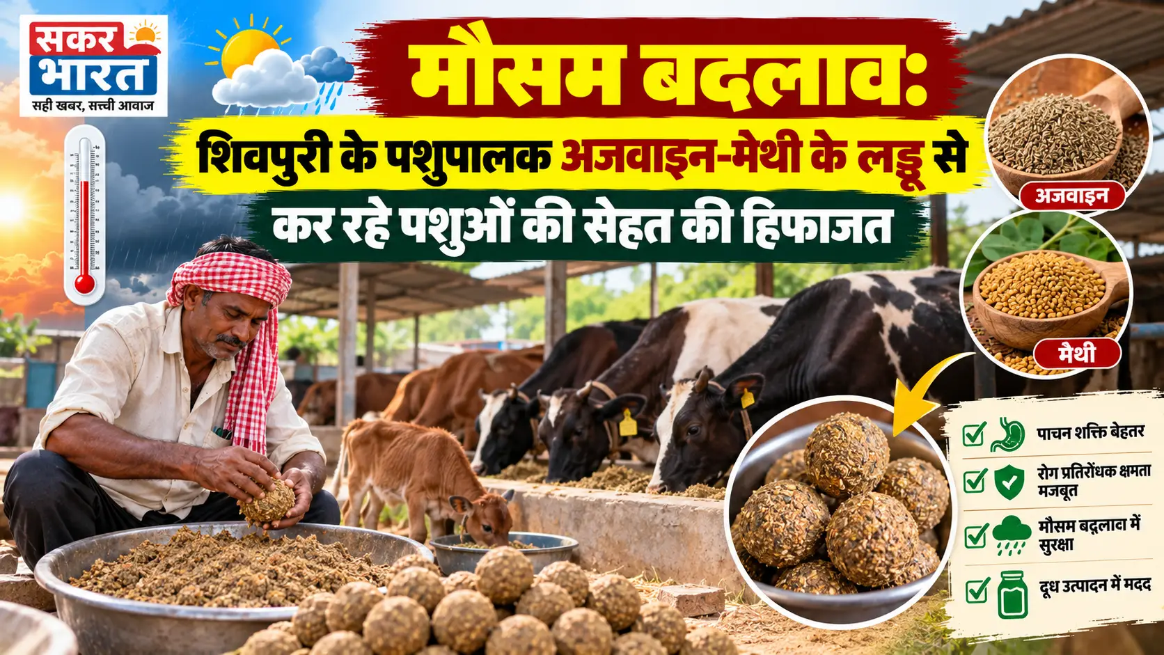 शिवपुरी में मौसम बदलते ही पशुओं की सेहत पर चिंता, देसी लड्डू सहारा