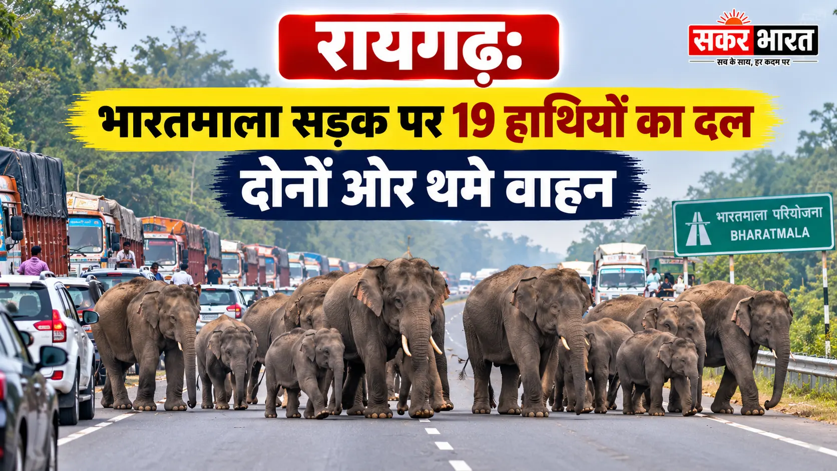 रायगढ़: भारतमाला सड़क पर 19 हाथियों का दल, घंटों थम गया यातायात