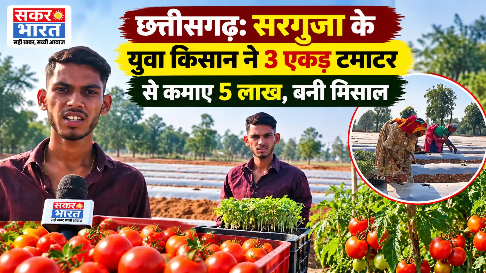 सरगुजा के युवा किसान अभिषेक ने 3 एकड़ में उगाया टमाटर, कमाया 5 लाख मुनाफा