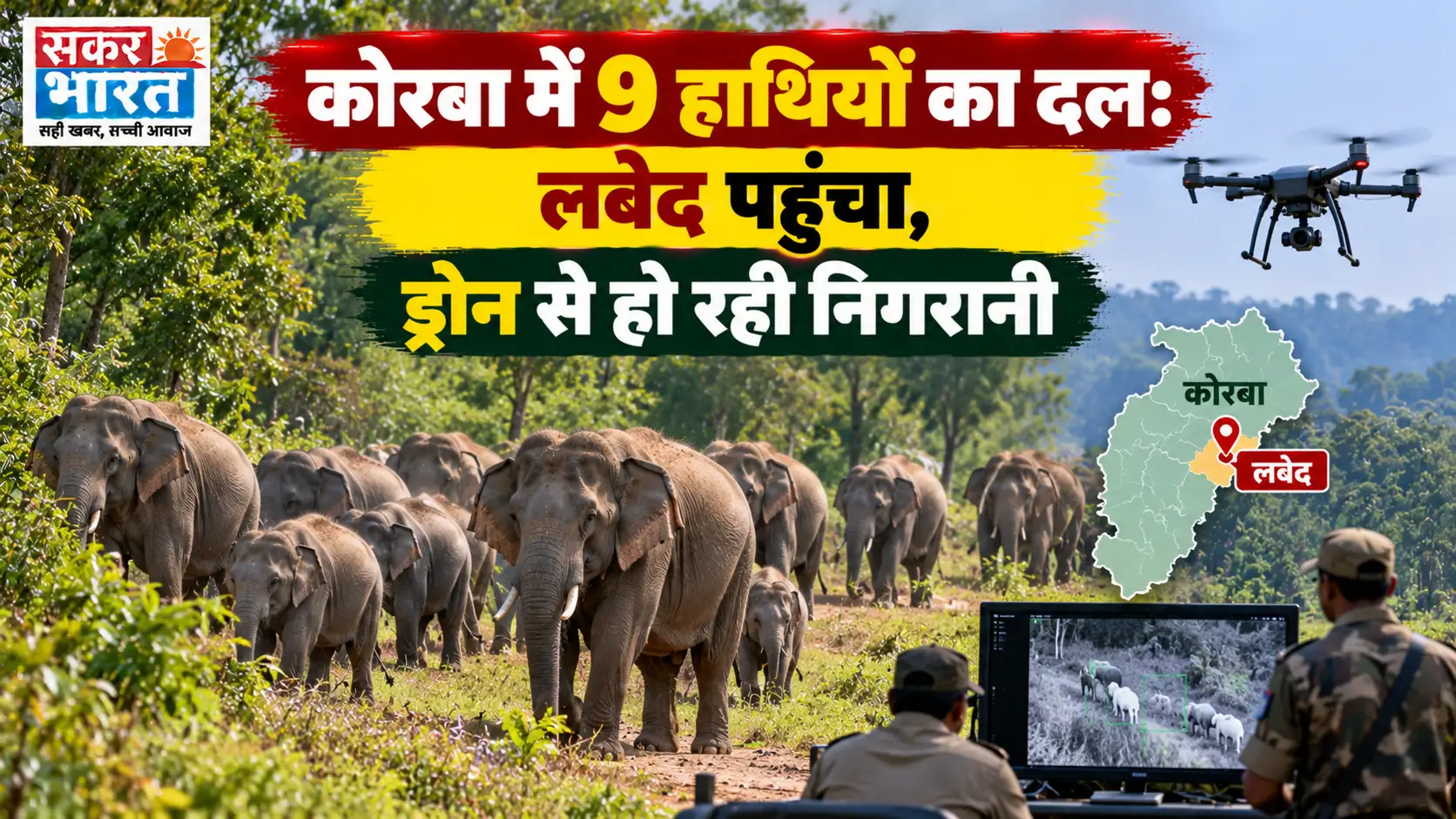 कोरबा में 9 हाथियों का दल सक्रिय, लबेद में ड्रोन से निगरानी