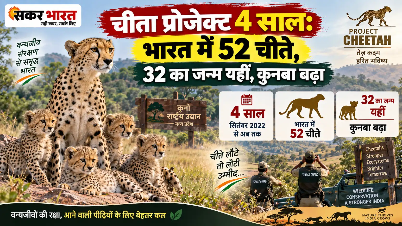 चीता प्रोजेक्ट 4 साल: भारत में 52 चीते, 32 का जन्म यहीं, कुनबा बढ़ा