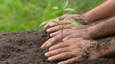 दिल्ली-एनसीआर में 34 स्थानों पर वृहद पौधारोपण अभियान: 612 पौधे, 50 हजार झाड़ियां लगाईं