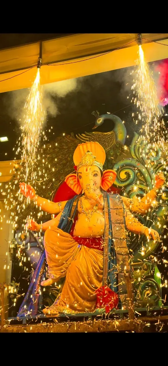 गरियाबंद में बजरंग चौक के राजा की धमाकेदार एंट्री का वीडियो सोशल मीडिया पर हुआ वायरल