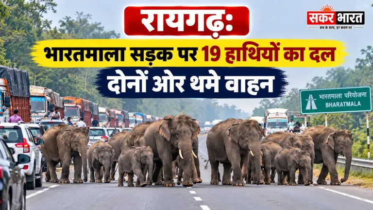 रायगढ़: भारतमाला सड़क पर 19 हाथियों का दल, घंटों थम गया यातायात