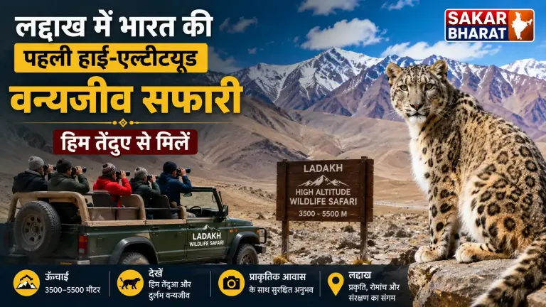 लद्दाख में भारत की पहली उच्च-ऊंचाई वन्यजीव सफारी शुरू: हिम तेंदुए से मिलें
