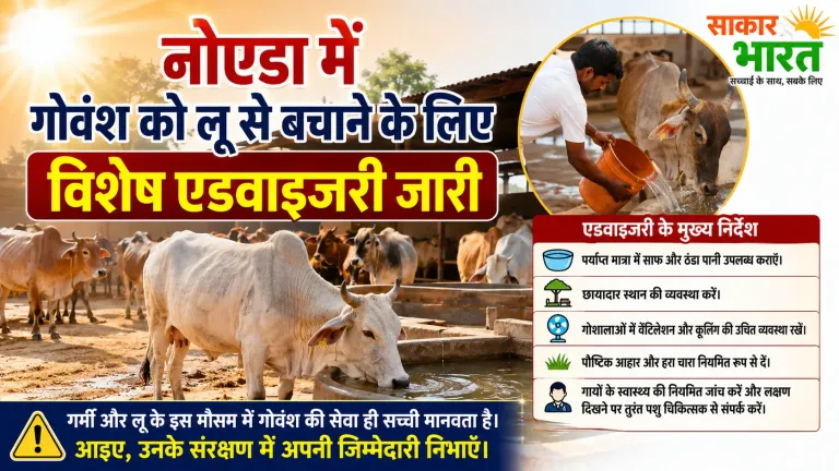 नोएडा में गोवंश को लू से बचाने के लिए विशेष एडवाइजरी जारी