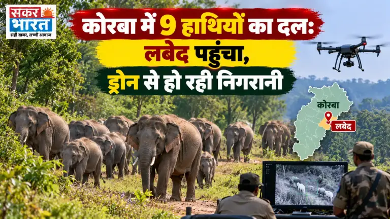 कोरबा में 9 हाथियों का दल सक्रिय, लबेद में ड्रोन से निगरानी